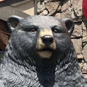 Meet your Posher, Brent